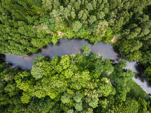 Preview: Sport in summer. Kayaking on river. Aerial view of Poland