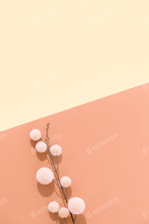 Preview: Autumn flowers. Fall minimal concept. Flat lay brown beige colours trend