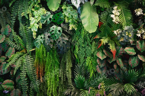 Preview: Close up group of background tropical green leaves texture and abstract background.