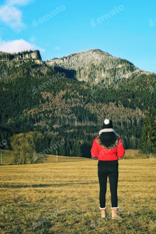Vorschau: Winter is coming, a girl in a red winter jacket, view from behind