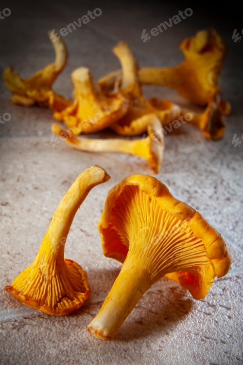 Vista previa: Chanterelle Mushrooms