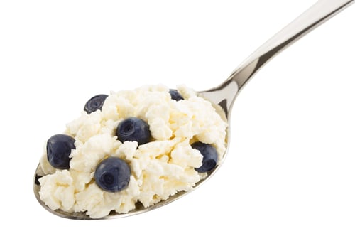 Preview: Spoonful of Cottage Cheese and Blueberries