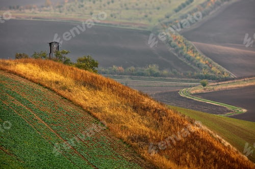 Preview: Beautiful shot of a field in a hill in Moravia, Czech Republic