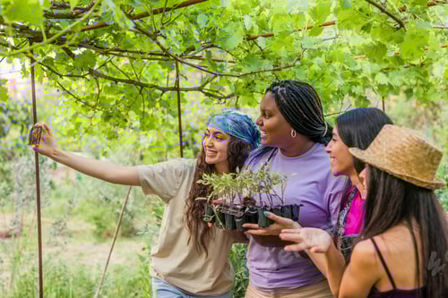 Preview: Multiethnic volunteer group selfie. Friendship teamwork in urban garden. Latin and Moroccan women