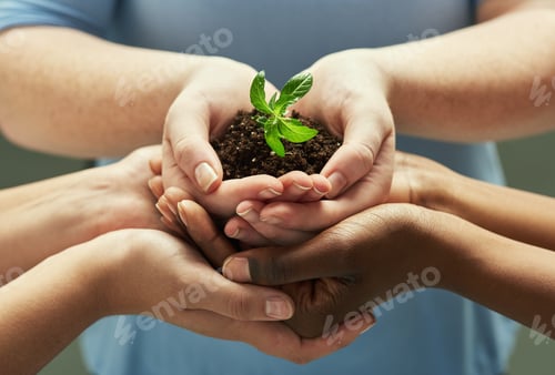 Preview: Shot of a group of hands holding a plant growing out of soil