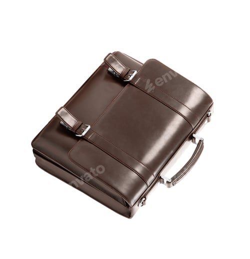 Preview: Leather case isolated