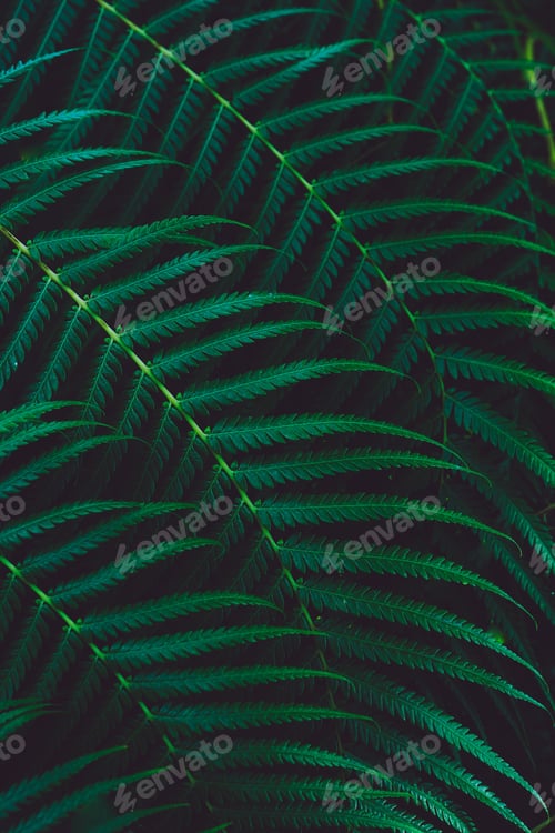 Preview: Natural green leaves background.