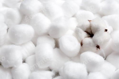 Preview: Fluffy flower and space for text on cotton balls, view from above