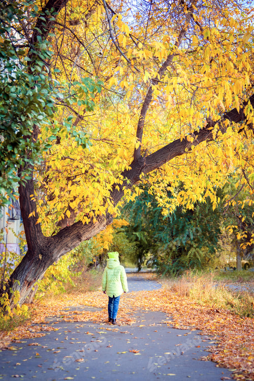 Preview: Little girl in a yellow jacket walks along the path past the autumn trees