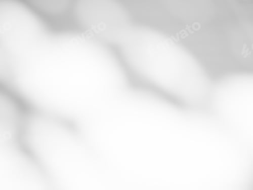 Preview: Shadow Spring on Wall Background,Abstract Shady Soft Exterior Leaves Tree