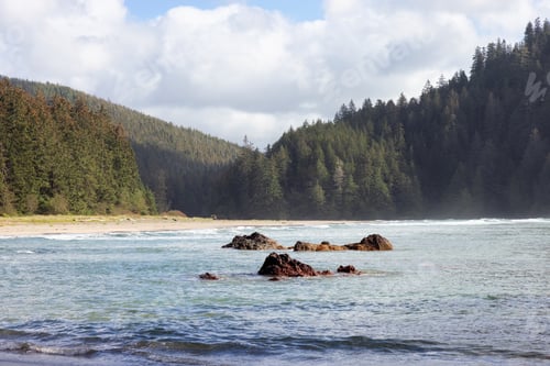 Preview: Sandy beach on Pacific Ocean Coast View. Sunny Blue Sky. San Josef Bay, Cape Scott Provincial Park