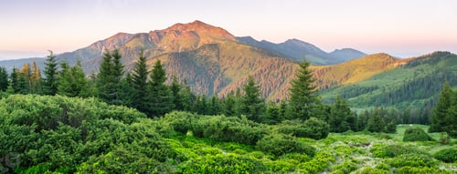 Preview: Summer landscape in the mountains with a beautiful sunrise