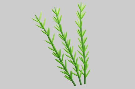Preview: Stylized Green Rosemary Herbs Sprigs