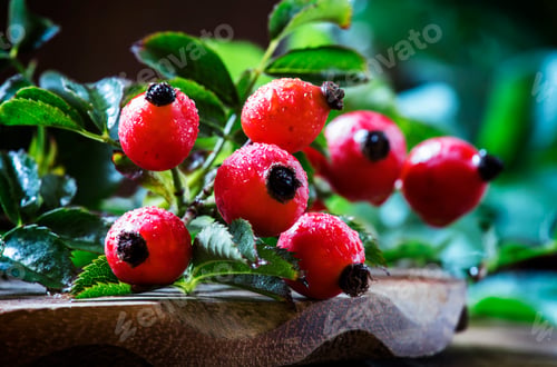 Preview: Branches rosehip with berries on old wooden table