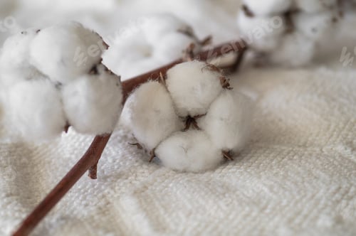 Preview: Cotton with warm sweater