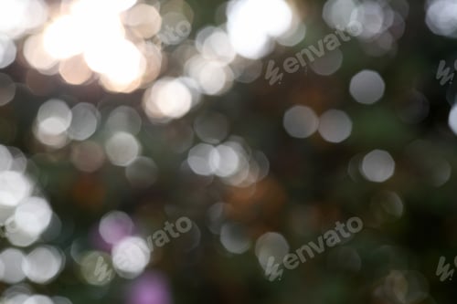 Preview: Abstract Nature Background Of Sun And Leaves - Softly Blurred Nature Background Of The Sun Shining