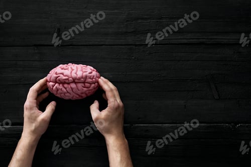 Preview: AI, Human hands touching brain