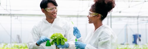 Preview: Two scientists are working together in a greenhouse, one of them holding a plant