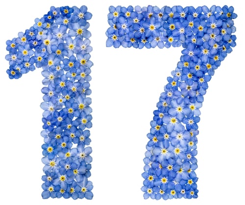Preview: Arabic numeral 17, seventeen, from blue forget-me-not flowers