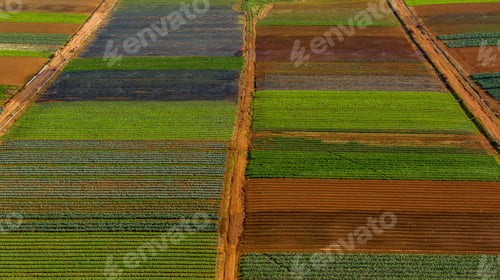 Preview: Vibrant agricultural fields with distinct patterns.