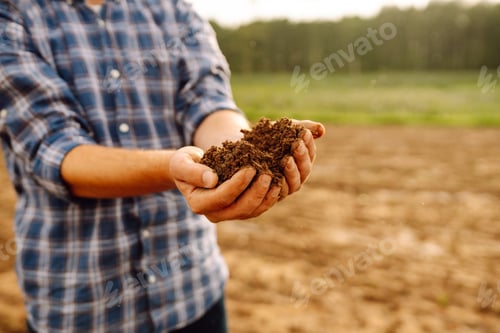 Preview: Farmer's hands take the soil from field and check its quality. Experienced male hands hold the soil.