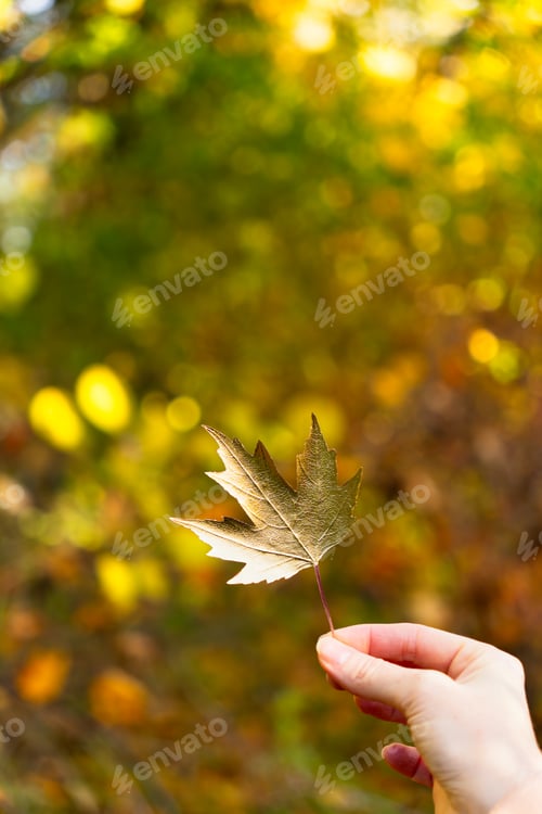 Preview: A woman holds a gold leaf in her hand
