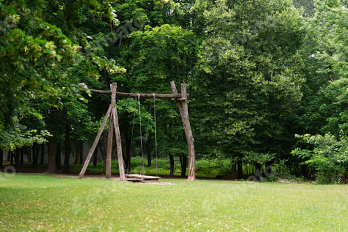 Preview: Empty wooden swing hanging from a large tree. Park in summer, green landscape.