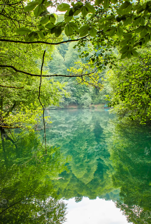 Preview: Lake hidden in the forest. Turkey Bolu Yedigoller. Outdoors lake view