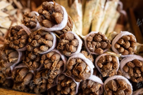 Preview: Group Stacks Of Traditional Chinese Medicine, Ginseng