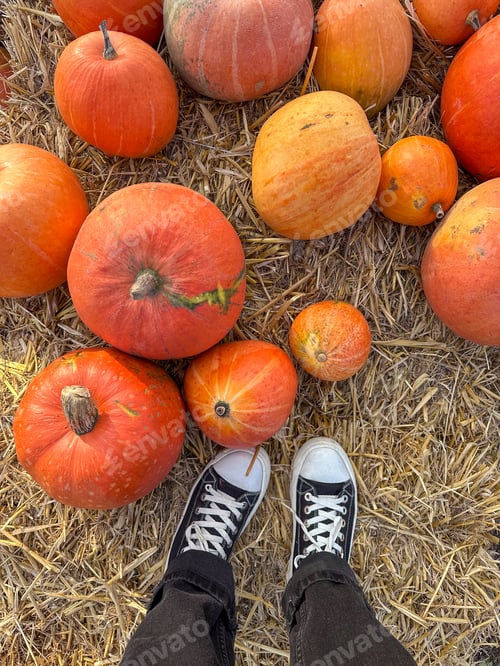 Preview: Person holding a large orange pumpkin by the stem