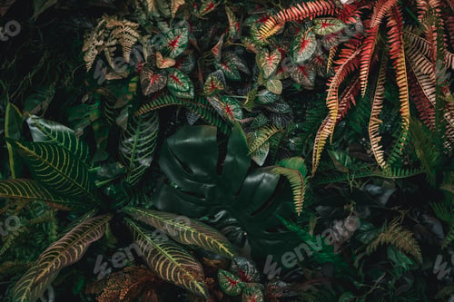 Preview: A background with an abstract design and a close-up texture group of green leaves.