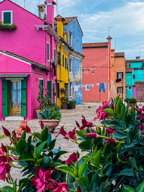 Preview: Blurred view of Burano colorful houses with decorative flowers foreground, Venice, Italy
