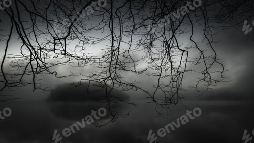 Preview: Misty creepy and mysterious park with a lake under the stormy cloudy sky