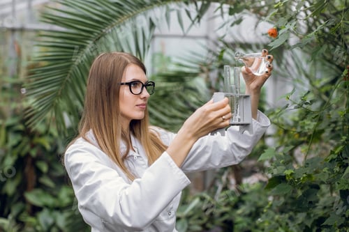 Preview: Woman Scientist Pours Liquid in Greenhouse Research