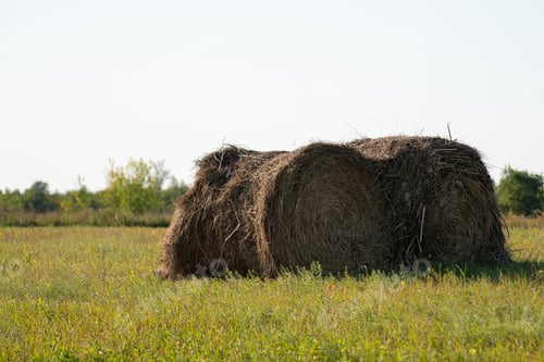 Preview: haystack on the summer field under sunshine, the food for domestic animals