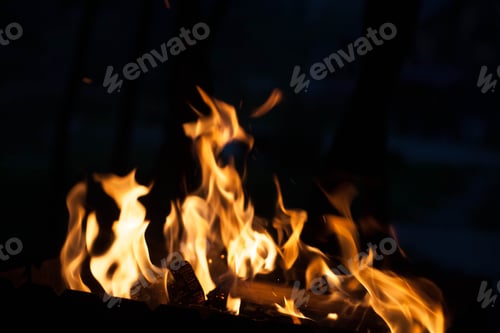 Preview: fire. The concept of nature.