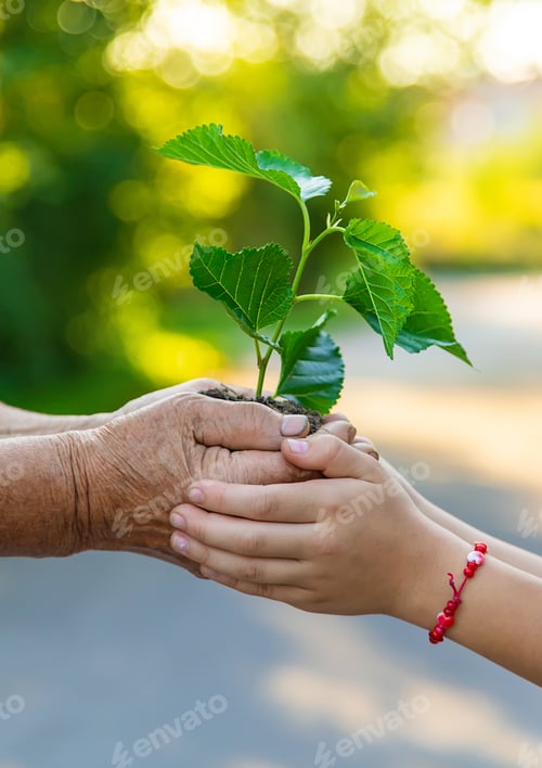 Preview: The child and grandmother are planting a tree. Selective focus.