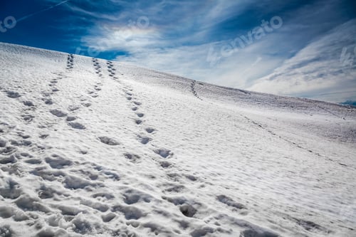 Preview: Footprints in the snow leading to the top, Alps, Austria