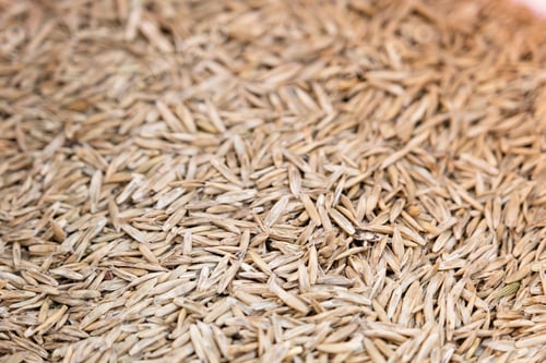 Preview: grass seeds ready to sow