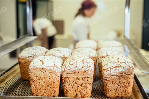 Preview: store small business concept, food factory process