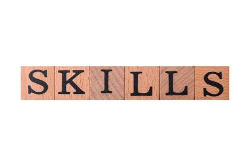 Preview: The inscription Skills made of wooden cubes on a plain background