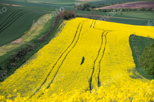 Preview: Gorgeous rural landscape with green sunny spring hills. South Moravia region, Czech Republic