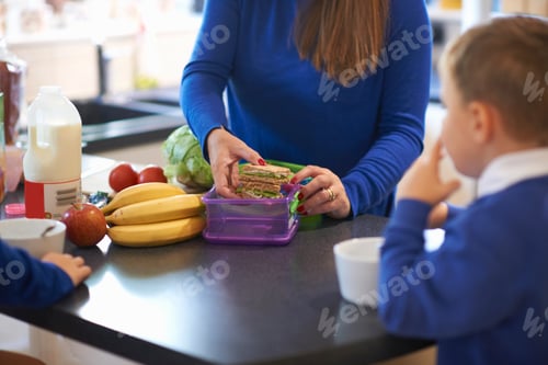 Preview: Cropped view of mother packing her school children's lunch box in kitchen