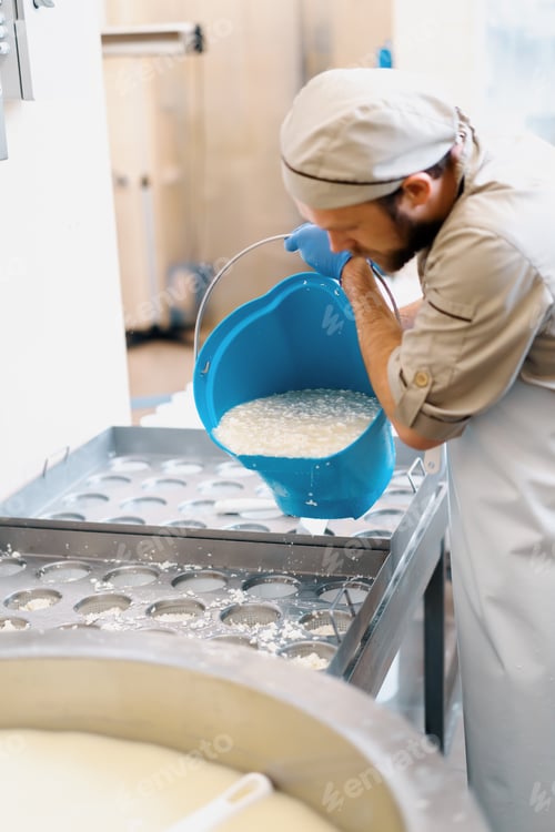 Preview: cheese maker pours fresh cheese into molds for making brie cheese craft cheese production
