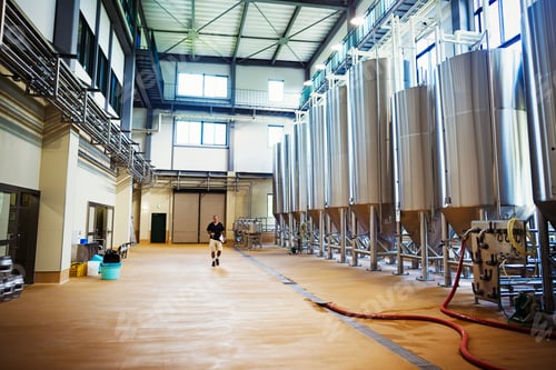 Preview: Interior view of a brewery with a row of metal beer tanks.