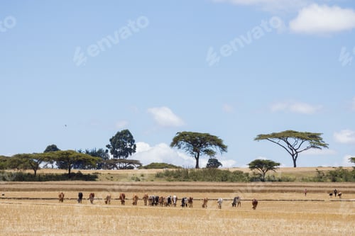 Preview: Kenya Landscapes Mountains Hills Savannah Wilderness Viewpoint