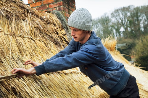 Preview: Thatcher standing on a roof, fastening straw at a seam.