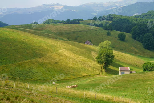 Preview: Landscape in Lessinia near Campofontana