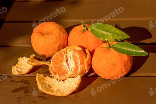 Preview: Fresh picked ripe mandarins tangerines on the table. Harvest. Picking fruits