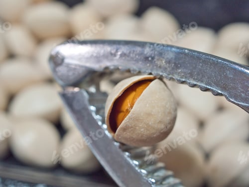 Preview: Close up of Ginkgo nut